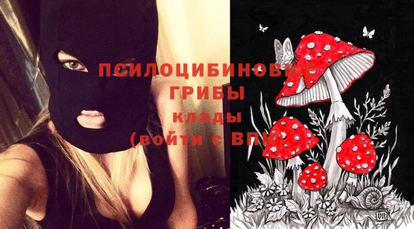 дурь Арсеньев