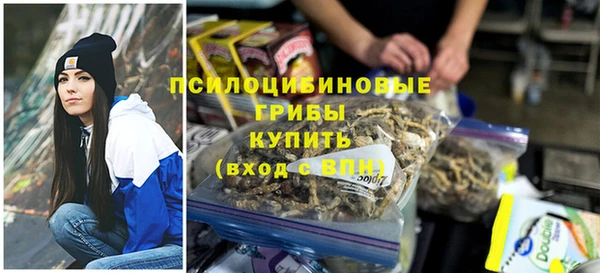 дурь Арсеньев