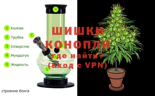 PSILOCYBIN Алзамай