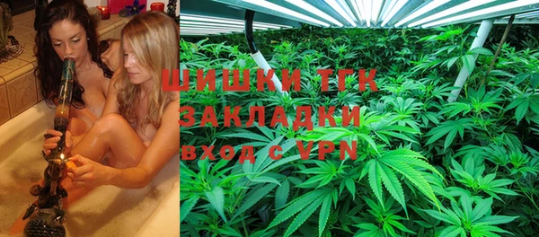 PSILOCYBIN Алзамай