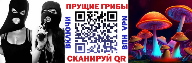 Галлюциногенные грибы Psilocybe Рузаевка