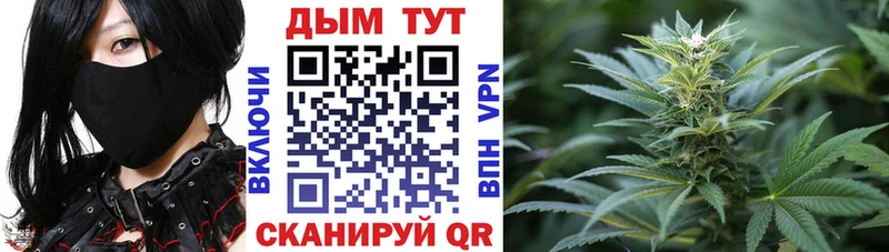 Каннабис Amnesia  купить наркотики сайты  Рузаевка 